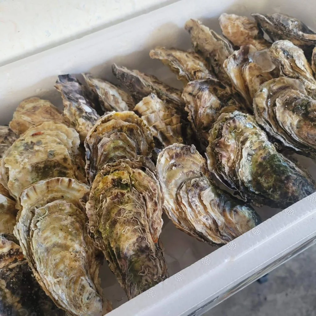 高崎✕歓送迎会✕結婚式二次会　高崎で美味しい牡蠣を食べる事ができるお店をお探しなら是非ソーレマンへ。
